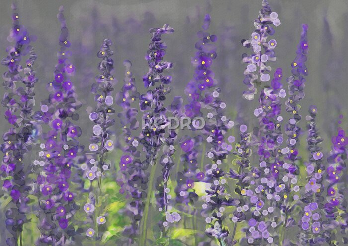 Fotobehang Schilderachtige wilde lavendelbloemen