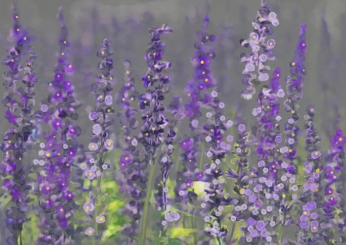 Fotobehang Schilderachtige wilde lavendelbloemen