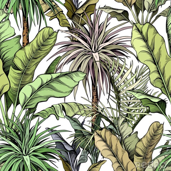 Fotobehang Seamless pattern with green tropical trees. Yucca plants and large banana leaves. Hand drawn vector illustration.