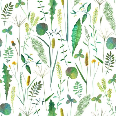 Fotobehang Seamless pattern with wild flowers, herbs, grasses. Watercolor hand drawn botanical illustration