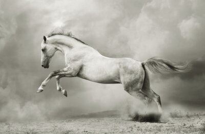 Fotobehang Sepia motief met een paard