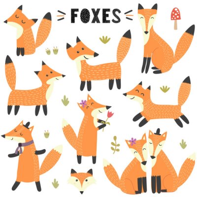Set of cute foxes. Great for children and kids design. Vector illustration