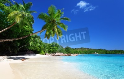 Fotobehang Seychellen en strand