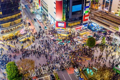 Fotobehang Shibuya kruispunt in Tokio