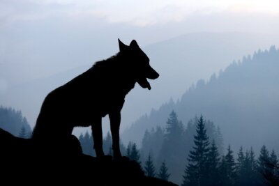 Silhouet van een wolf tegen een berglandschap