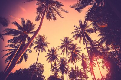 Fotobehang Silhouet van palmbomen tegen de lucht