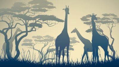 Fotobehang Silhouetten van giraffen op de Afrikaanse savanne