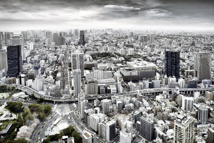 Fotobehang Skyline van de metropool in grijs