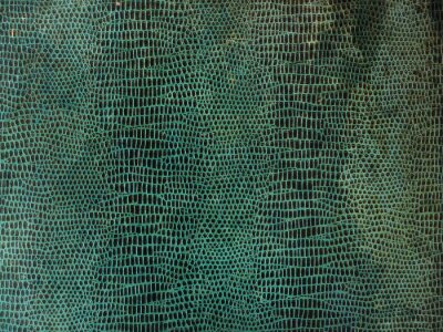 Fotobehang Slangenhuid