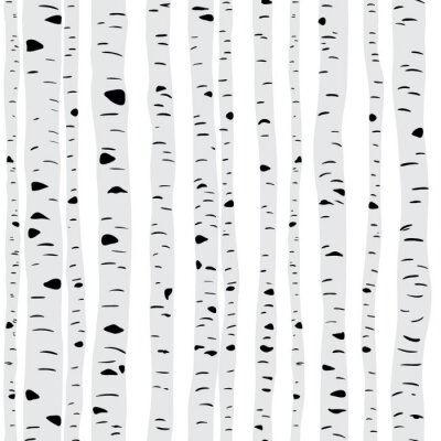 Behang Slanke berken op een lichte achtergrond