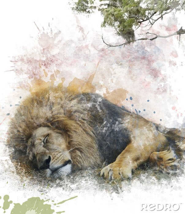 Fotobehang Slapende leeuw in aquarel