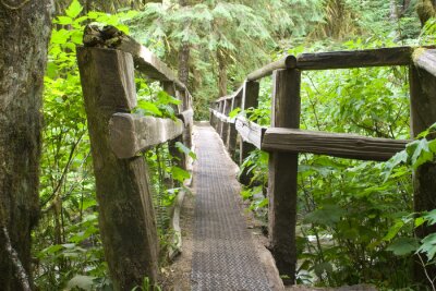Fotobehang Smalle brug in een bos