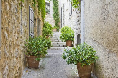 Smalle straat in de Provence