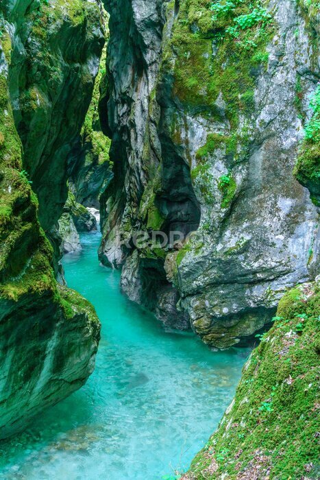 Fotobehang Smaragdgroene Soča rivier in nationaal park van Slovenië
