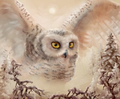 Fotobehang Sneeuwuil in een wintersbos