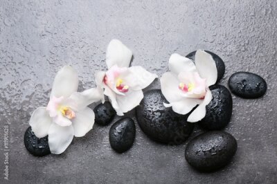 Fotobehang Spa stenen en een witte orchidee op een grijze achtergrond