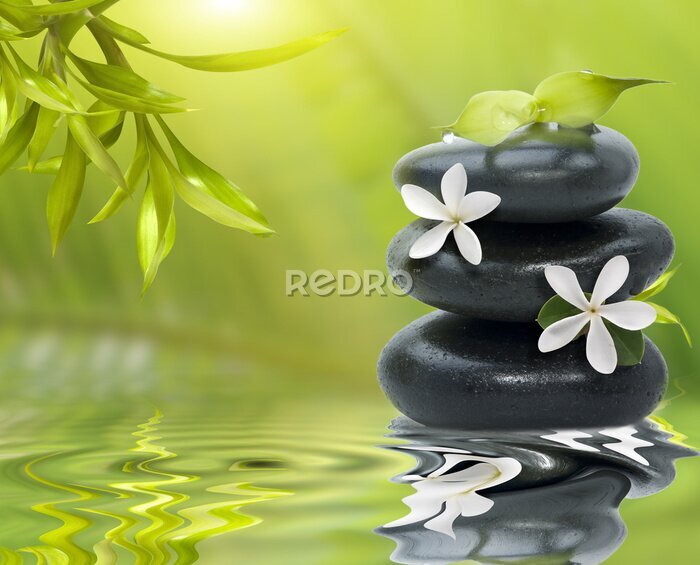 Fotobehang Spa stilleven met witte bloemen op de zwarte stenen en bambo