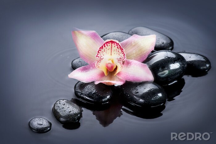 Fotobehang Spa Zen Stenen