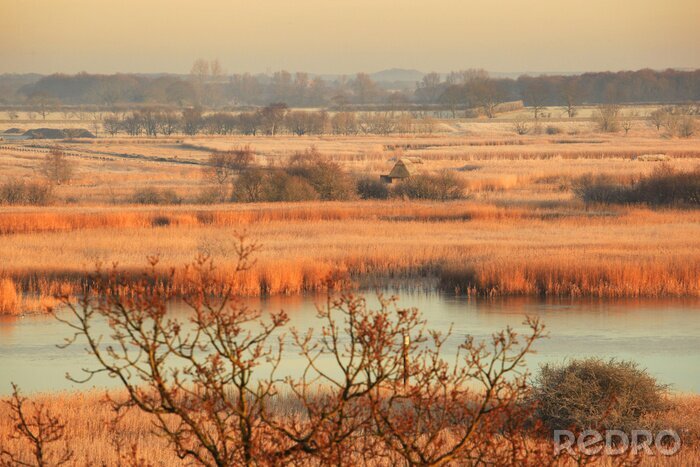 Fotobehang Speciale natuur