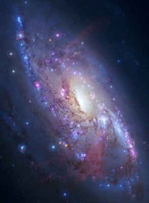 Spiraalvormige galaxy aan de hemel