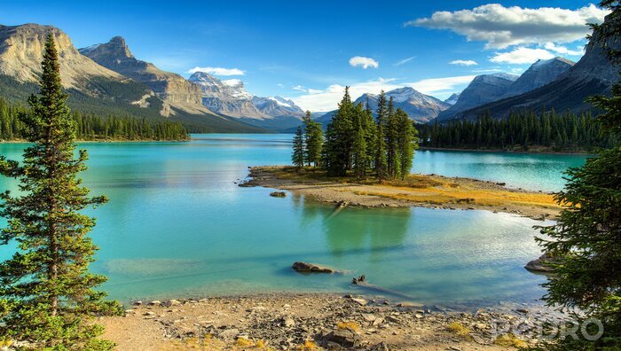 Fotobehang Spirit Island in Maligne Lake