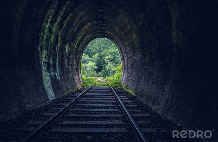 Fotobehang Spoorwegtunnel in een bos