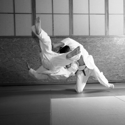 Fotobehang Sportieve judo show