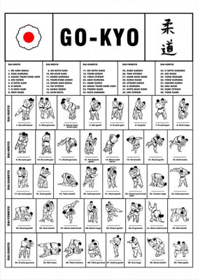 Fotobehang Sportinstructie in judo