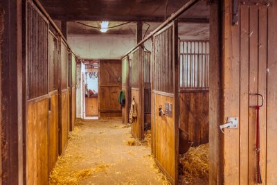 Fotobehang Stal met boxen voor paarden