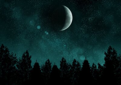 Starry nacht met bos en de maan