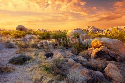 Fotobehang Stenen in de woestijn
