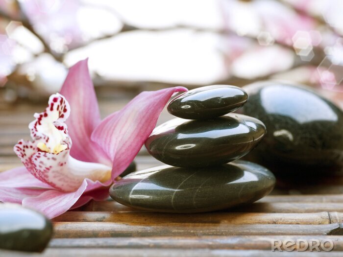 Fotobehang Stenen van het kuuroord