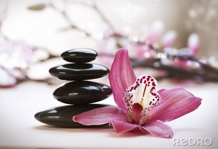 Fotobehang Stenen van het kuuroord