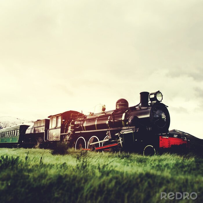 Fotobehang Stoom trein in een open landschap Natural Scene Concept