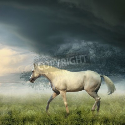 Fotobehang Stormachtig landschap met een paard