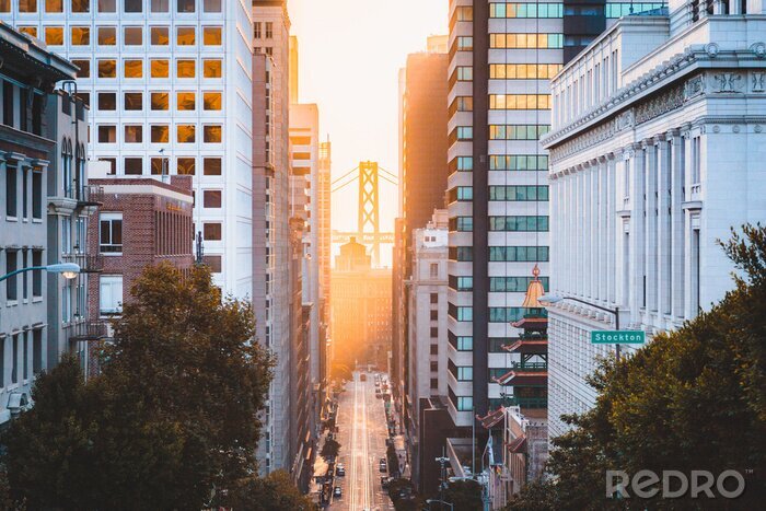 Fotobehang Straatmening in San Francisco