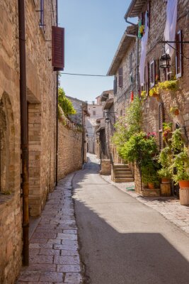Fotobehang Strada con fiori, Assisi