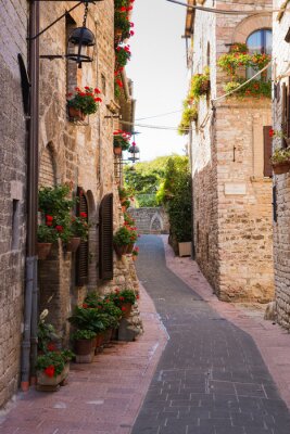 Fotobehang Strada medievale con fiori, Assisi