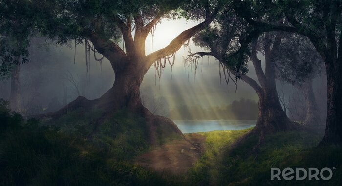 Fotobehang Stralen van de zon in het bos