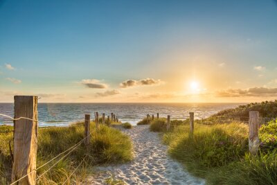 Fotobehang Strand duinen en toegang tot de zee