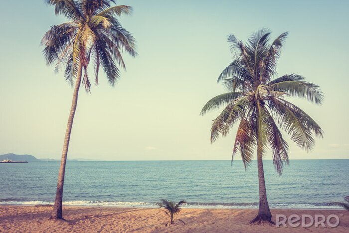 Fotobehang Strand en kokospalmen