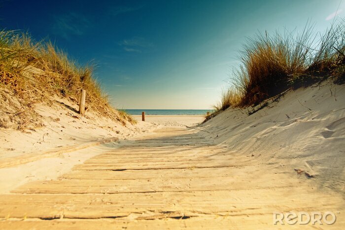 Fotobehang Strand en natuur