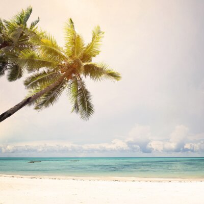 Strand en palmbomen onder een wolkenloze hemel