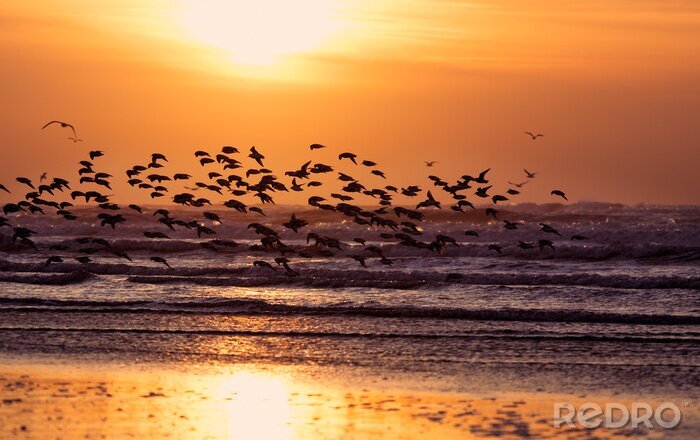 Fotobehang strand en zonsondergang