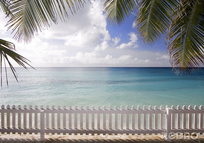 Fotobehang Strand onder de palmbomen en de zee