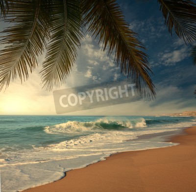 Fotobehang Strand onder de tropische palmbomen