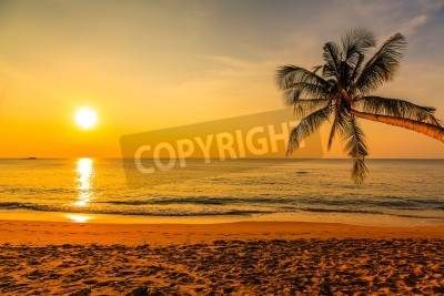 Fotobehang Strand palmbomen en de ondergaande zon