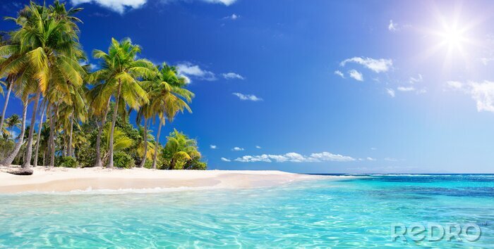 Fotobehang Strand palmbomen en turquoise water