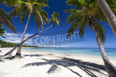 Fotobehang Strand palmbomen en turquoise zee