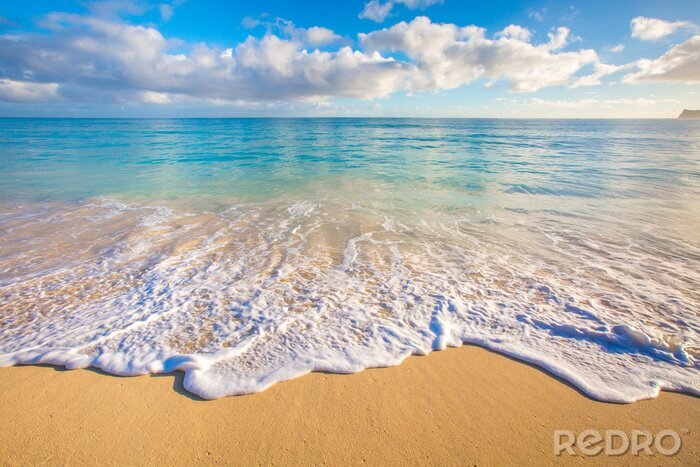 Fotobehang Stranden van Hawaï
